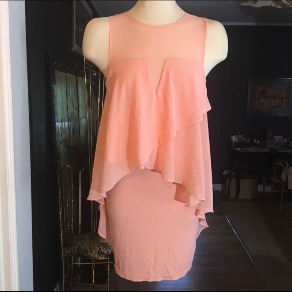 Bebe Dress - Picture 5 of 6